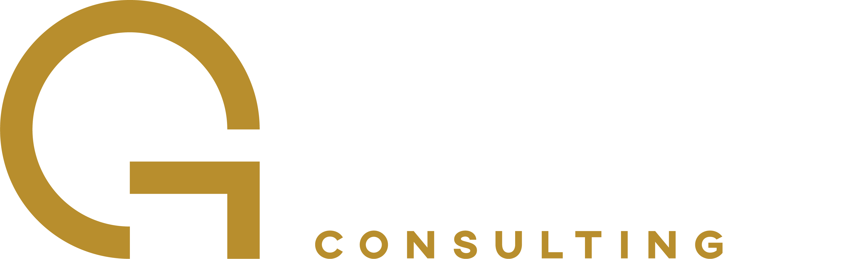 Osie Gaines Consulting